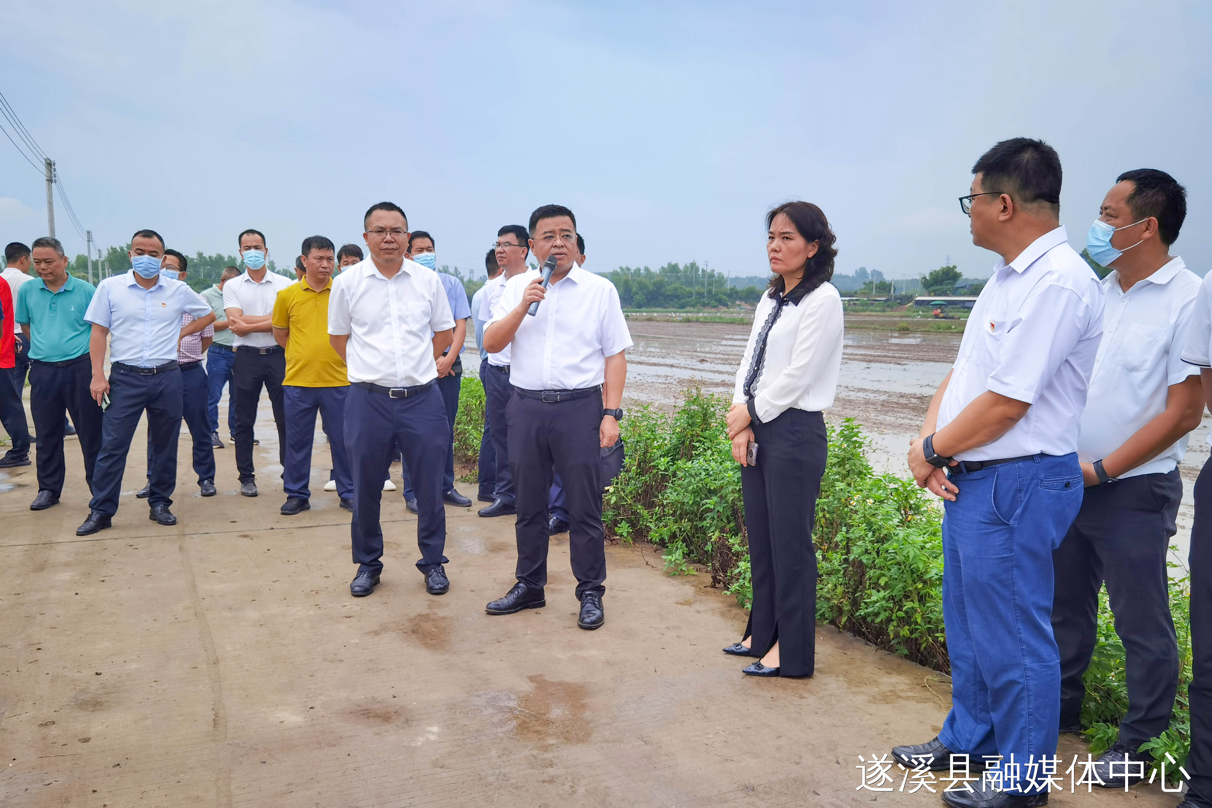 遂溪县部署推进粮食生产暨撂荒耕地复耕复种工作