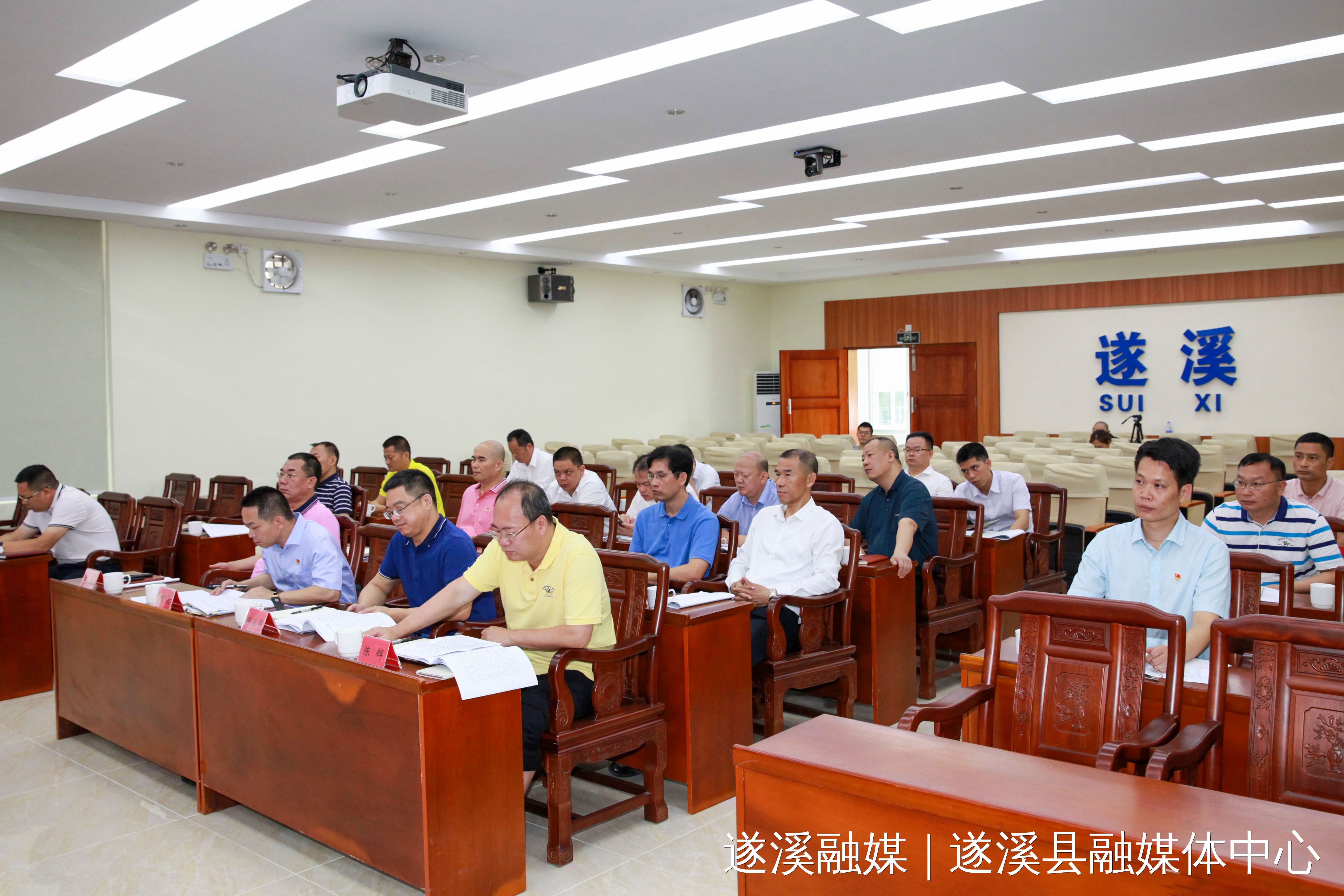 遂溪县委常委陈照,遂溪县委常委,遂城镇党委书记陈辉,遂溪县委常委