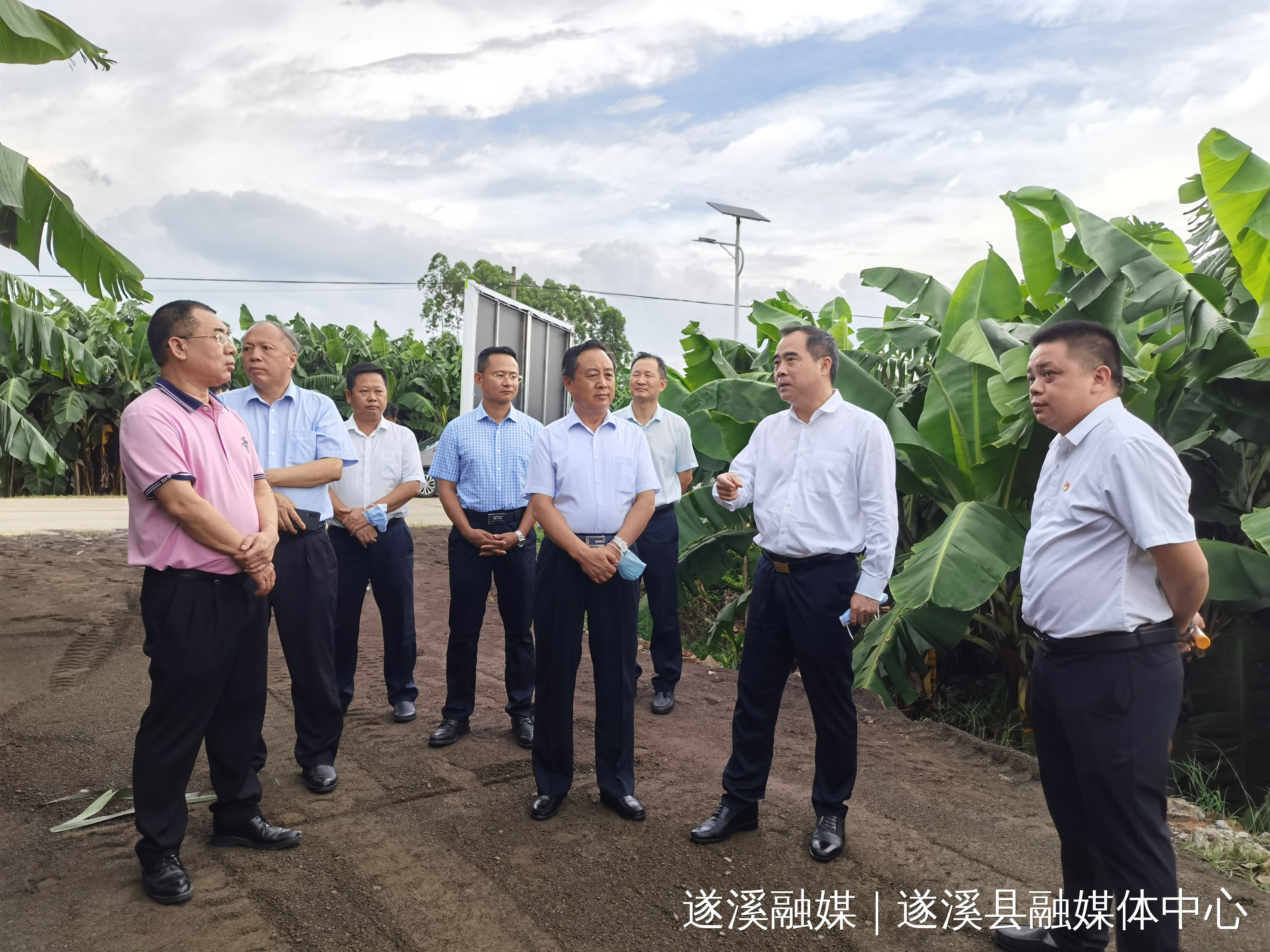 县委统战部部长陈照,遂溪县委常委,遂城镇党委书记陈辉,遂溪县政协副